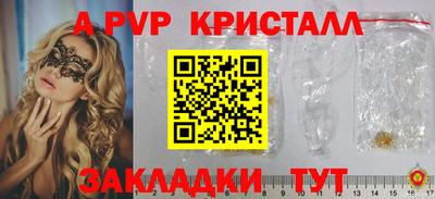 стаф Владимир